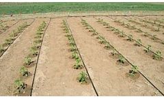 Huntop - Model 500 SQM HT1108 - Agricultural Drip Irrigation System for Farm