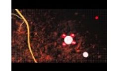AVAIL Phosphorus Fertilizer Enhancer - Mode of Action Video