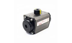 JJ-BCN - Model AE/Hard Anodised Series - Pneumatic Actuator