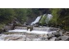 Renewable Energy Project Management Services for Hydroelectric Projects