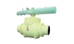 Top Entry Ball Valves