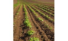 1,4SEED - Seed Management