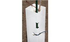 Monarch - 24" Drop On Protectors (100pcs)