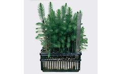 Monarch - Model Zipset - Plant Propagation Trays