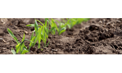 Brandt - Model EnzUp - Prime Soil