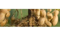 N-Boost® - Model 5 - Foliar Nitrogen