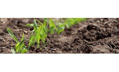 EnzUp™ - Enzyme Nutrient