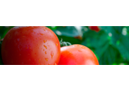 Brandt - Model Manni-Plex - High Performance Foliar Micronutrients