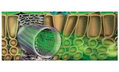 Manni-Plex® - Foliar Nutrition