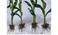 Brandt - Seed Treatments Essential Nutrients Product