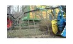 Short Rotation Coppice Video