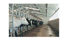 Albers - Parallel Parlour