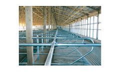 Albers - Free Stall Loops