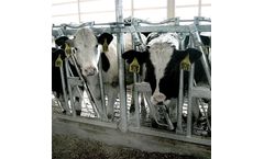 J&D Manufacturing - Calf Superlock Panels for Calf Management