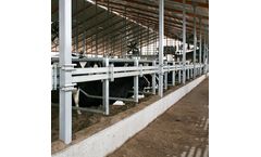 J&D Manufacturing - Model 24 and 36-inch - Twin Beam Suspended Freestall System