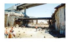 Program & Risk Management Services