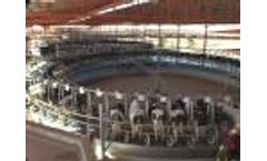 Washing valves apretadero Video
