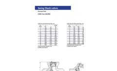 Check Valves Brochure