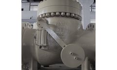 Vector - Check Valves