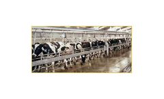 Vandenberg - Lift Brisket Bar