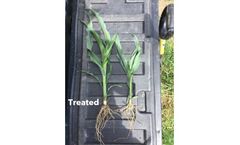 SG Assist - Carbon and Bio-stimulant Components