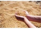 SummitGold ProZyme - Soil Enzyme Bio-stimulant