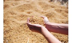SummitGold ProZyme - Soil Enzyme Bio-stimulant