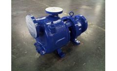 TRUFLO - Model DSP Series - Self-Priming Process Pump – ANSI B73.1 Footprint (OH1)