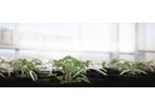 Actagro - Productive Soil Ecosystem