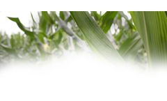 nutri-guard - Platform Technology