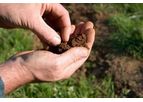 Soil Testing Services