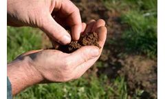 Soil Testing Services
