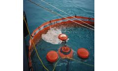 Shreyans - Oil Skimmers