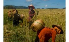 Training Seminar on Human Rights and the Environment