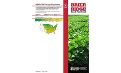 Model 8847 GT1 - Forage Soybeans - Datasheet