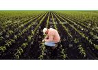 Perfect-Blend - Sustainable Soils