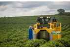Oxbo - Model 9240+ - Coffee Harvester