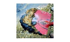 Environmental Engineering Services