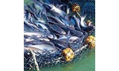 Surface Aerators for Aquaculture