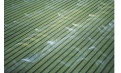 DPG - Food Safety Water Treatment Service