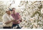 DPG - Foliar Sprays for Almonds, Pistachios, and Grapes