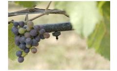 DPG - Micro Irrigation Water Treatment Technology
