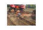 Northwest - Sugar Cane Tiller