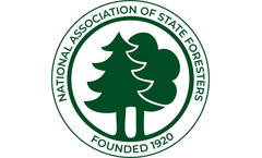 State foresters encouraged by strong state response to Insect & Disease Designation requests