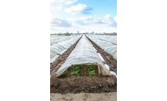 Revolution - Agricultural Ground Cover Films