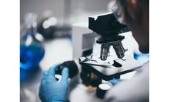 Analytical & Laboratory Services