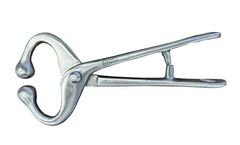 APE - Place Stainless Steel Bull Lead