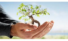 Social Accountability Management System
