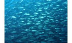 Improved Management of Fisheries Services