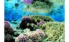 Marine Reserves Services